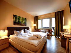 Zimmerbild 7