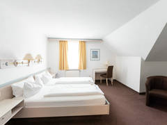 Zimmerbild 7