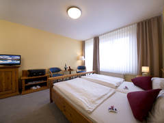 Zimmerbild 7