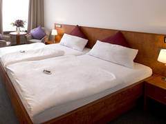 Zimmerbild 8