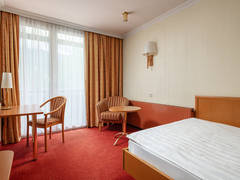 Zimmerbild 13