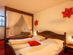 Zimmerbild 10