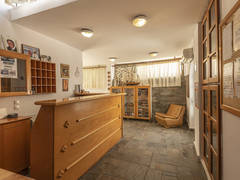Zimmerbild 21