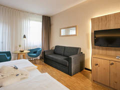 Zimmerbild 13