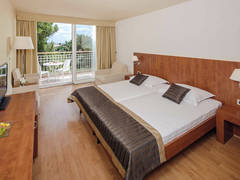 Zimmerbild 33