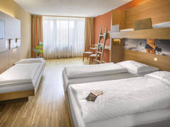 Zimmerbild 11