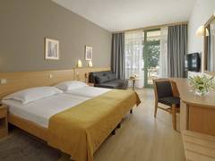 Zimmerbild 120