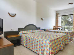 Zimmerbild 74