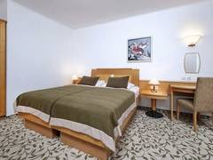 Zimmerbild 9