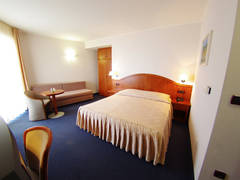 Zimmerbild 20