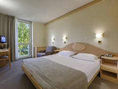 Zimmerbild 37