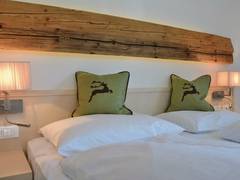 Zimmerbild 5