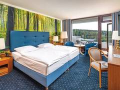 Zimmerbild 23