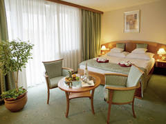 Zimmerbild 11