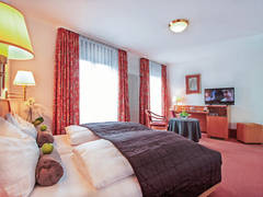 Zimmerbild 3