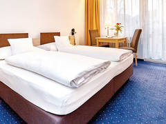 Zimmerbild 22