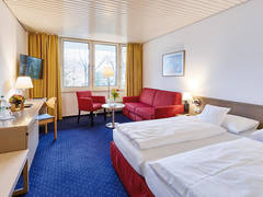 Zimmerbild 21