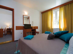 Zimmerbild 21