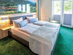 Zimmerbild 6