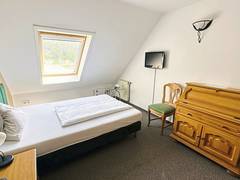 Zimmerbild 11