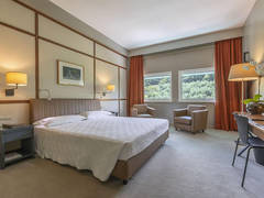 Zimmerbild 10