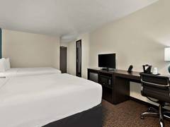 Zimmerbild 8