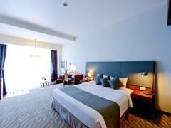 Zimmerbild 15