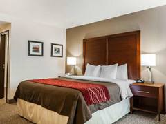 Zimmerbild 13