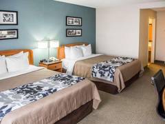 Zimmerbild 13