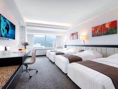 Zimmerbild 6