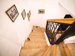Zimmerbild 58