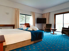 Zimmerbild 52