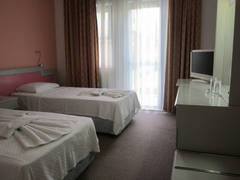 Zimmerbild 10