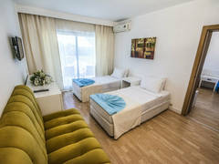 Zimmerbild 8