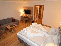 Zimmerbild 11