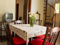 Zimmerbild 8