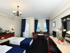 Zimmerbild 32