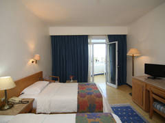 Zimmerbild 17