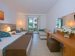 Zimmerbild 41