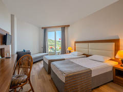 Zimmerbild 22