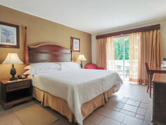 Zimmerbild 12