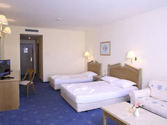 Zimmerbild 54