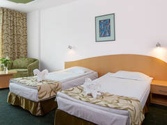 Zimmerbild 42