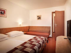 Zimmerbild 40
