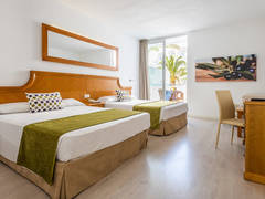 Zimmerbild 23