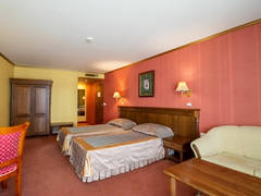 Zimmerbild 11