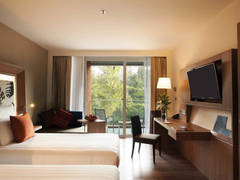Zimmerbild 6