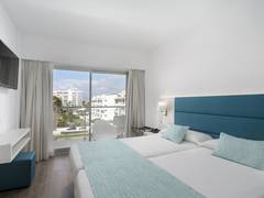 Zimmerbild 47