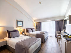 Zimmerbild 22
