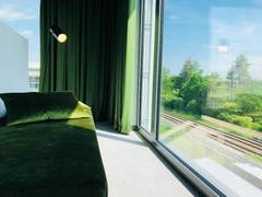 Zimmerbild 5